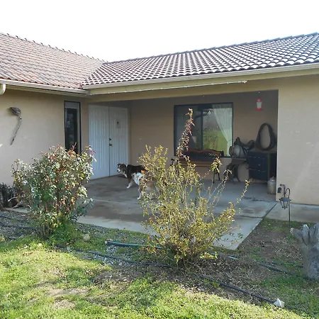 The Branded Calf Bed & Breakfast-2